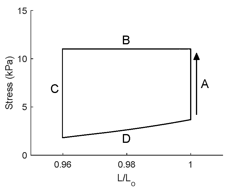 Example of a simulated work-loop demonstrating the different phases. A: isometric contraction, using the default CellML code ("musgrave_2025_nondiabetic.cellml"). B: Isotonic contraction, using the isotonic mode ("musgrave_2025_nondiabetic_isoton.cellml"). C: Isometric relaxation, using the default CellML code again. D: Re-stretching phase using the two re-stretching modes ("musgrave_2025_nondiabetic_RS1.cellml" and "musgrave_2025_nondiabetic_RS2.cellml").